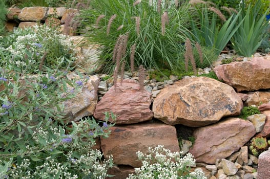 Stone garden  Dry stone wall  fuenf,months after planting