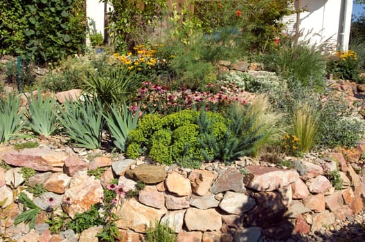 Stone garden  Dry stone wall  fuenf,months after planting