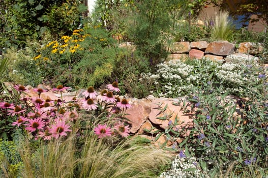 Stone garden  Dry stone wall  fuenf,months after planting
