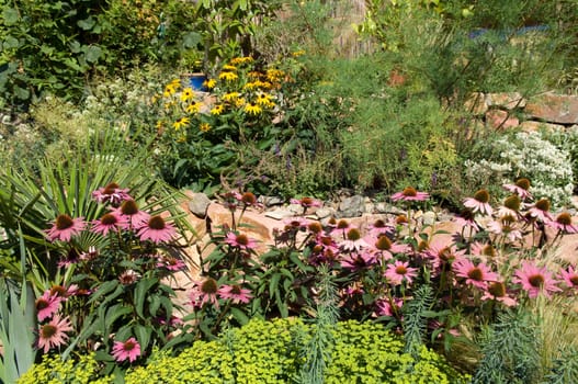 Stone garden  Dry stone wall  fuenf,months after planting