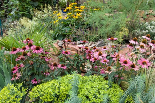 Stone garden  Dry stone wall  fuenf,months after planting