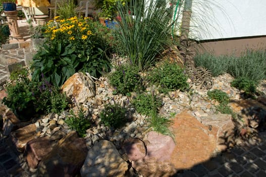 Stone garden  Dry stone wall  fuenf,months after planting