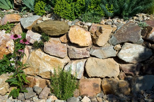 Stone garden  Dry stone wall  fuenf,months after planting