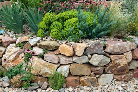 Stone garden  Dry stone wall  fuenf,months after planting