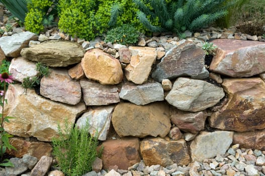 Rockery  Drywall  five,months after planting