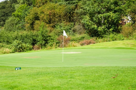 one golf green almost to the wood