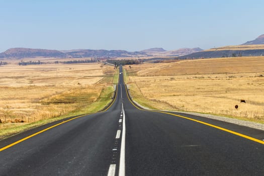 Road Straight highway through the rural countryside landscape