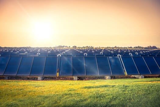 Solar cell park on a field in the sun