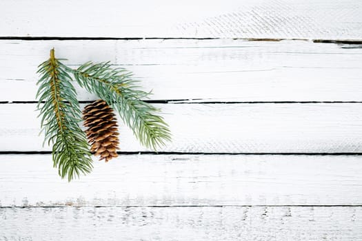 Firtree cone and conifer over wooden background