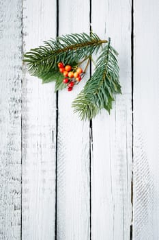 Small conifer and guelder branches over wooden background