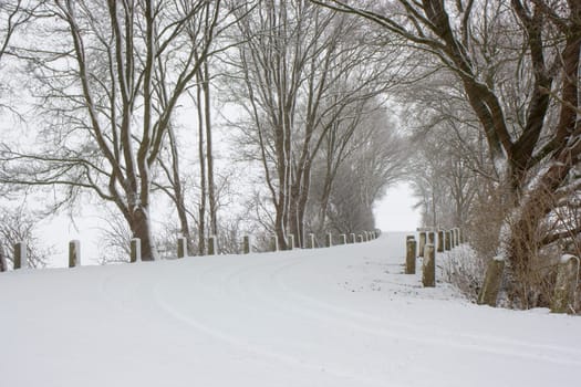 snowfall - winter landscape