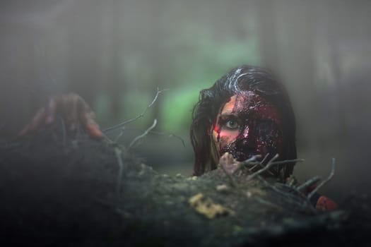 There is something in the woods...