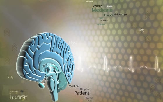 Digital illustration of brain in colour background