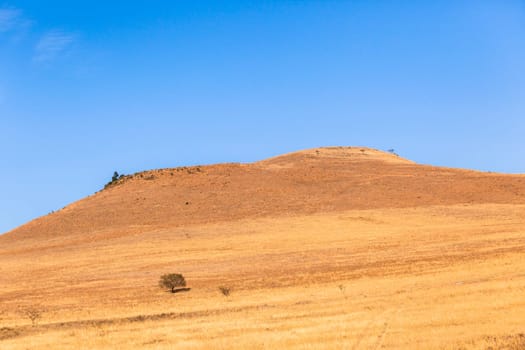 Fields trees grass in dry season in rural rocky farming hills mountain landscape