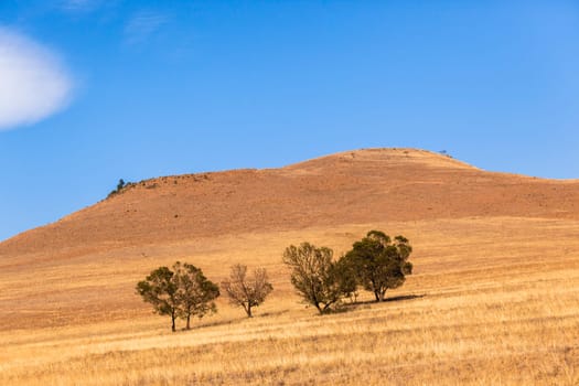 Fields trees grass in dry season in rural rocky farming hills mountain landscape