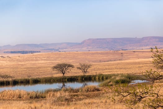 Fields trees waterhole spring in dry season in rural farming mountain landscape