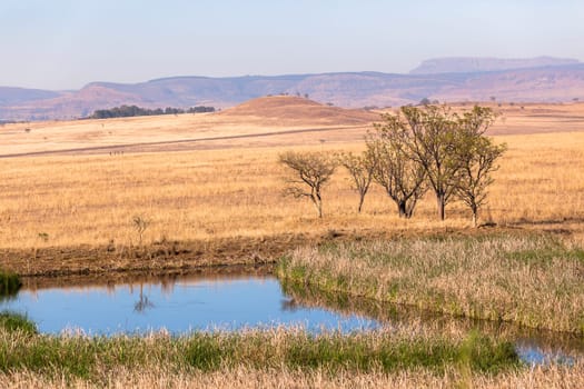 Fields trees waterhole spring in dry season in rural farming mountain landscape