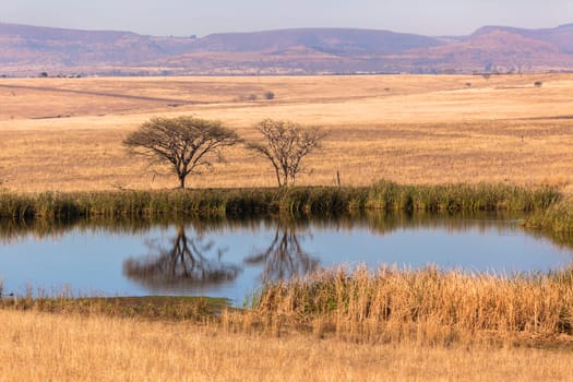 Fields trees waterhole spring in dry season in rural farming mountain landscape