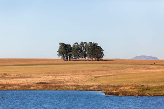 Fields trees waterhole spring in dry season in rural farming mountain landscape