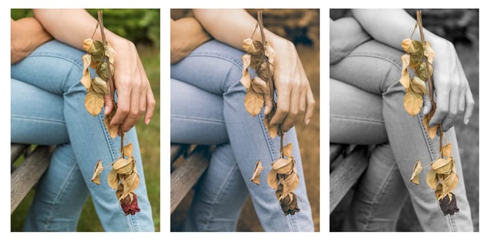 Woman is sitting on a bench and holding a dry rose in her hand.  Collage of three photos proceeds from color photo via vintage photo to monochrome photo with color rose using the color splash effect.