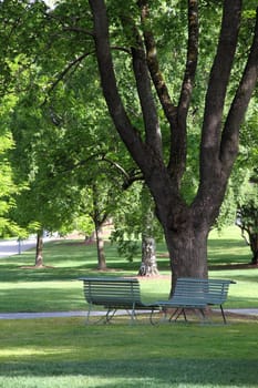 Two chairs in a park
