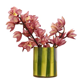 Flower bouquet on the vase, isolated white background.