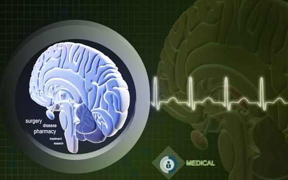 Digital illustration of brain in colour background