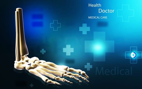 Digital illustration of Leg bone in colour background