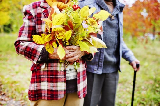 Hands of senior female with yellow leaves