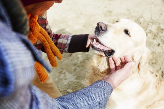 Human cuddling dog outside