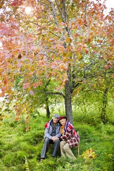 Affectionate seniors under tree looking at camera