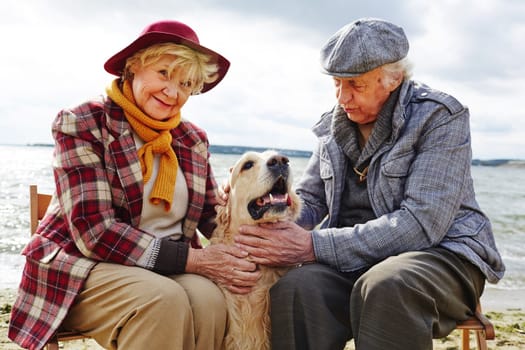 Retired couple playing with their pet outdoors