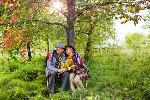 Affectionate seniors sitting under tree in park on autumn day