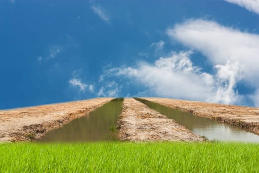 Blue sky with land and green grass in day noon for design