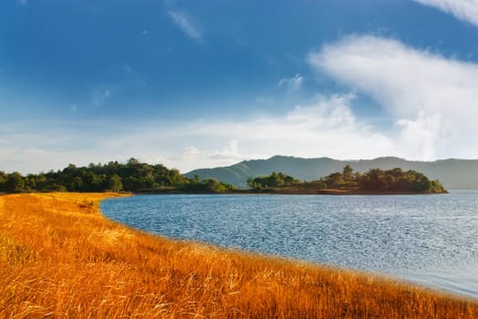 Beautiful of blue sky with yellow grass and river in color of sunlight