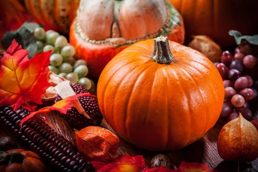 Traditional pumpkins for Thanksgiving and Halloween