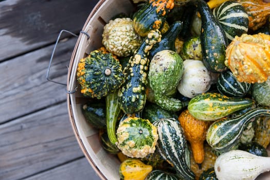 Fall vegetable basket with various squash and pumpkins