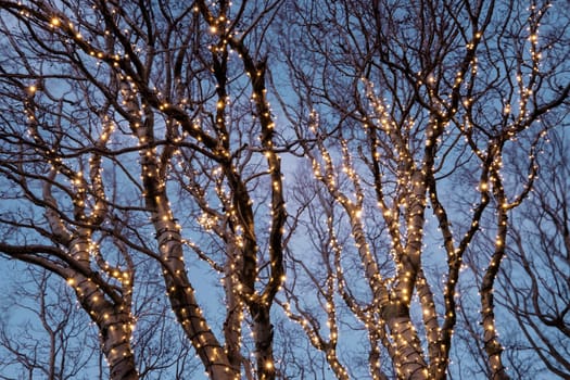 Beautiful christmas decorations in a tree