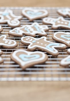 Variety of gingerbread cookies fresh from the oven - selective focus.