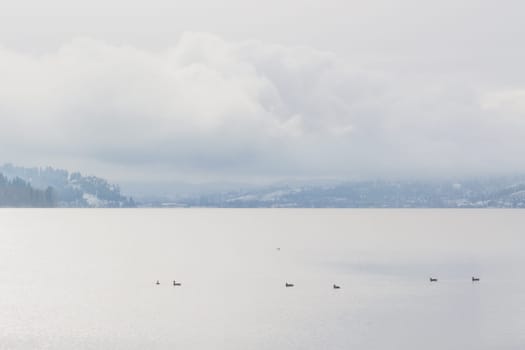 Misty landscape of winter on Wood Lake, Oyama, British Columbia.