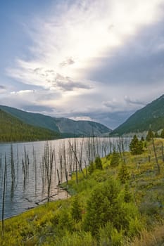 Landscape of historic Earthquake Lake with dead trees in the water, Montana, United States.