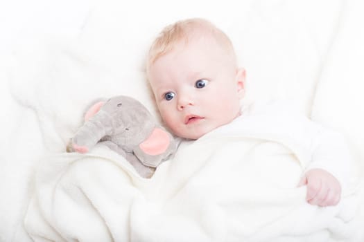 Cute blonde little baby boy with blue eyes with his favorite plush teddy bear and elephant.