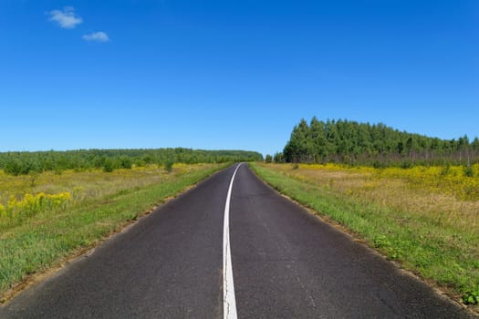 Rural asphalt road with markings that goes into the woods and passing through the meadow. Blue sky on a sunny summer day