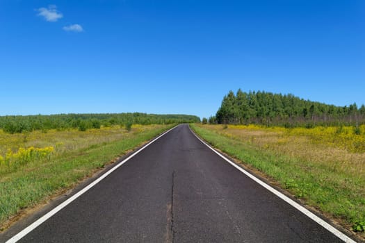 Rural asphalt road with markings that goes into the woods and passing through the meadow. Blue sky on a sunny summer day