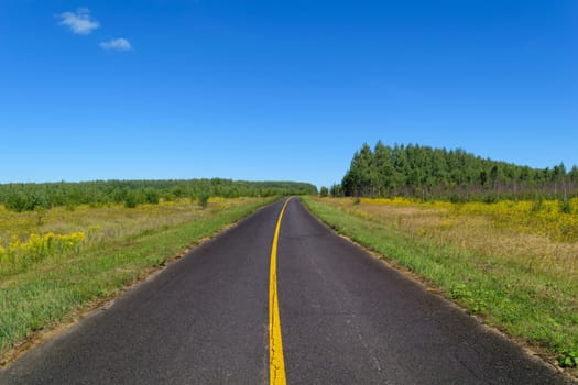 Rural asphalt road with markings that goes into the woods and passing through the meadow. Blue sky on a sunny summer day