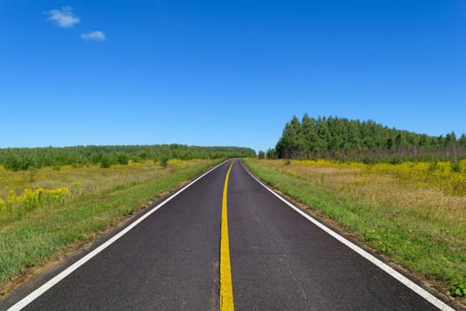 Rural asphalt road with markings that goes into the woods and passing through the meadow. Blue sky on a sunny summer day