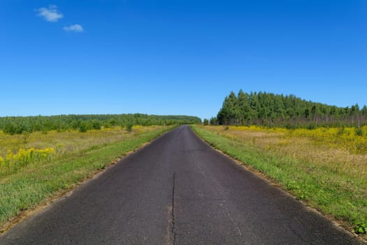 Rural asphalt road that goes into the woods and passing through a meadow. Blue sky on a sunny summer day
