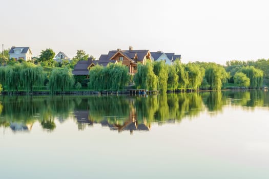 Green willows along the shore of the lake at sunset.