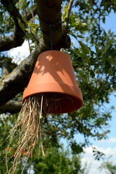 Home for beneficial people in the garden