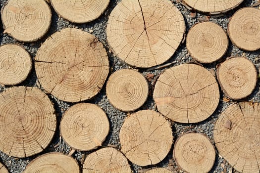 Round woods
